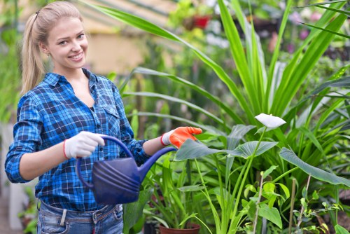 Professional landscapers working on a garden patio installation