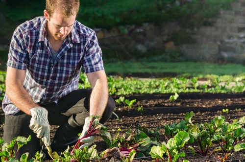 Documentation and records being checked for a garden maintenance complaint