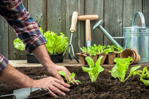 Supervisor reviewing a gardening job on-site