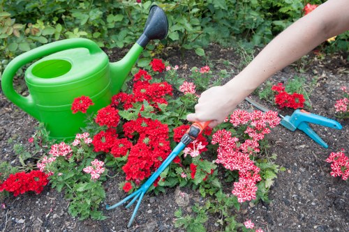 Beautiful garden maintenance in St Johns Wood