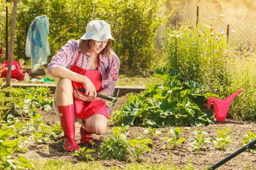 Professionally cleared garden in St Johns Wood