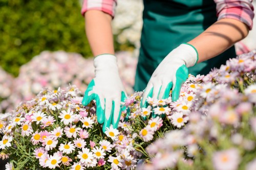 Team member demonstrating accessible gardening techniques