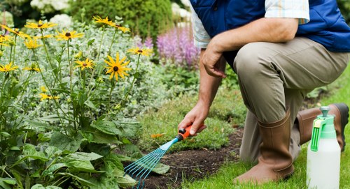 Eco-friendly lawn mowing equipment