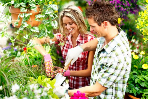 A gardener and a woman are tending to a vibrant, well-maintained garden in St Johns Wood, with lush green plants, flowering shrubs, and a neat lawn area. The gardener, wearing a checkered shirt and gardening gloves, is using pruning shears to trim a shrub, while the woman, smiling and dressed in a red plaid shirt, observes and assists. The garden features a variety of flowering plants with blooms in shades of pink, purple, and yellow, alongside leafy green hedges and small trees. The ground surface includes a lush, dense grass lawn and areas of soil bordering flower beds. In the background, colourful flower displays and foliage create a lively outdoor scene, suggesting routine gardening and landscaping care by Gardening Services St Johns Wood. Natural sunlight illuminates the scene, highlighting the vibrant colours and healthy plant growth, with a sense of a maintained and aesthetically pleasing outdoor space typical of residential gardens in the local area.