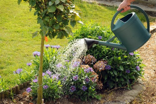 Sustainable gardening practices