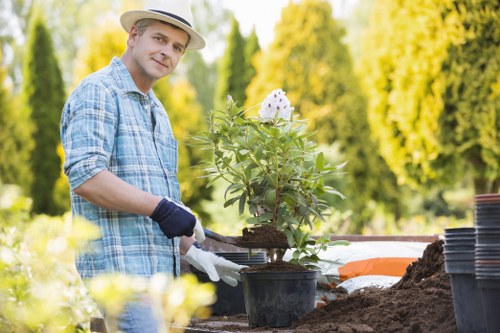 Seasonal garden upkeep