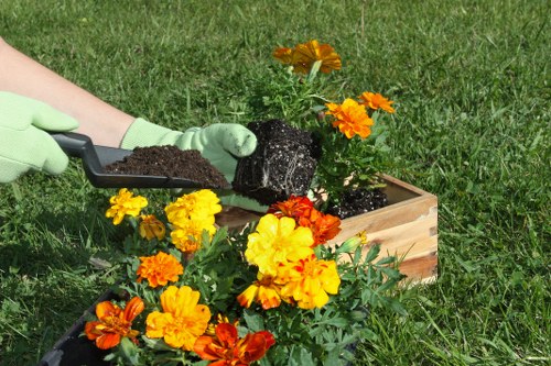 Eco-friendly garden with native plants and sustainable features