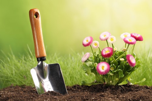 Expert garden maintenance services