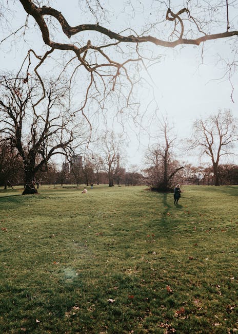 A spacious park landscape featuring a well-maintained grassy lawn bordered by various mature deciduous trees with extensive, twisting branches. The trees are mostly leafless, indicating a late autumn 