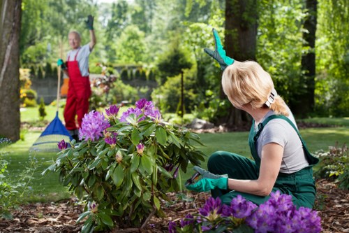 Professional gardeners working in a St Johns Wood garden